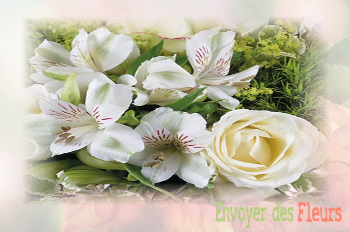 envoyer des fleurs à à VERNEUIL-SUR-SERRE